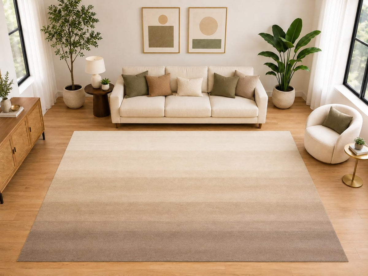ICE ARMOR "Ultra Light Weight Large 6'7" x 9'10" Ombre Gradient Area Rug for Living Room Bedroom Office, Soft Low Pile Indoor Rug, Non-Slip Silicone Backing, Taupe