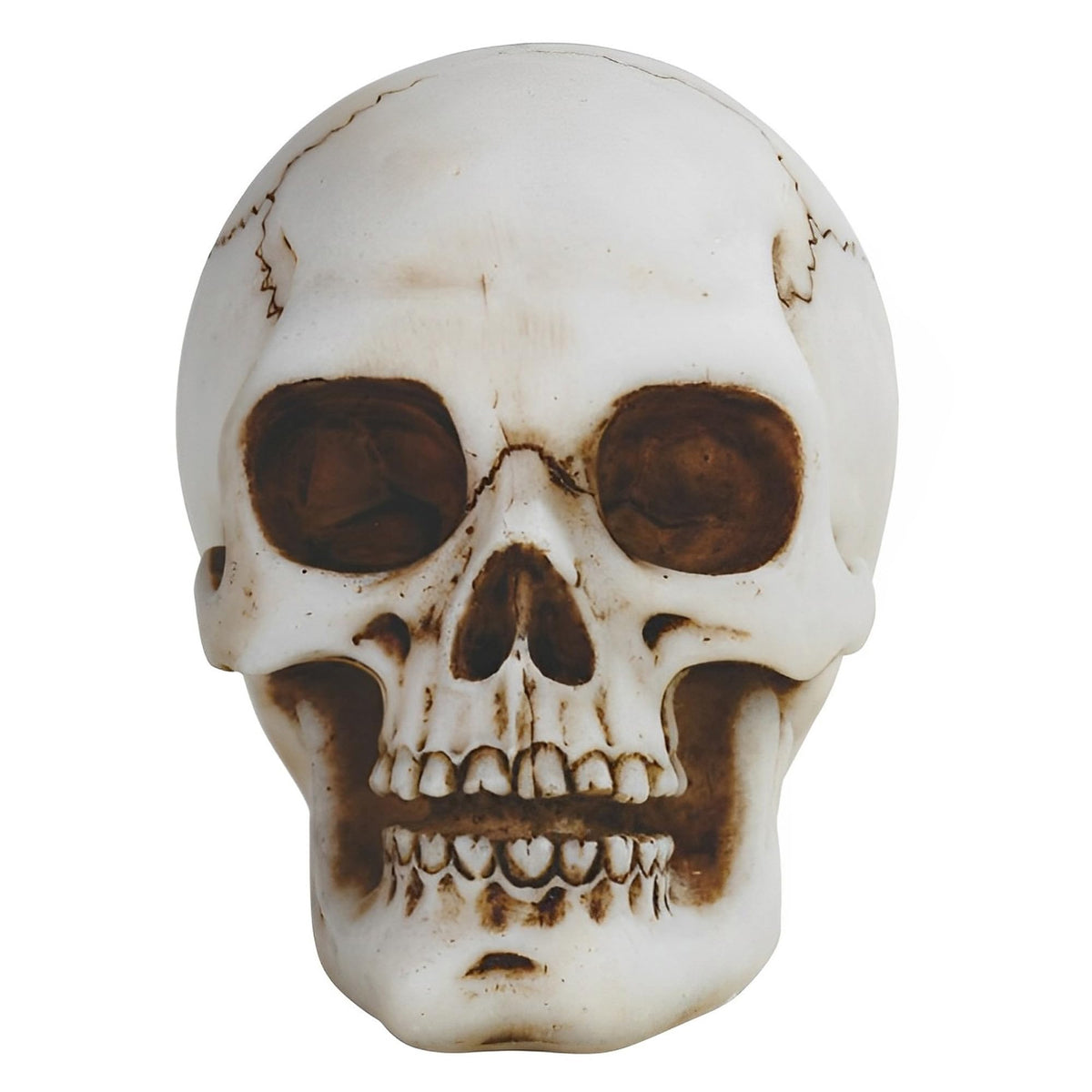 ICE ARMOR 3.25" W Skull Head Statue Fantasy Decoration Figurine